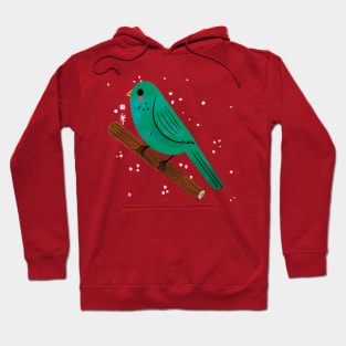 Kawaii Bird Painting Hand Drawn Hoodie